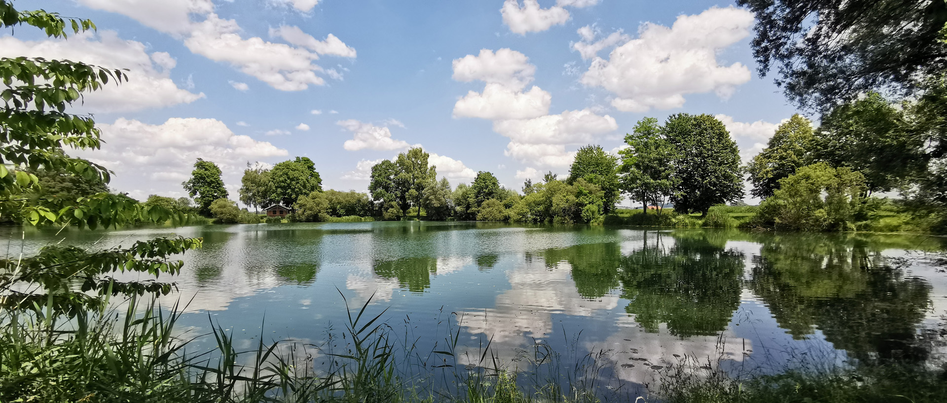 Fischteich des Fischervereins Mindelzell